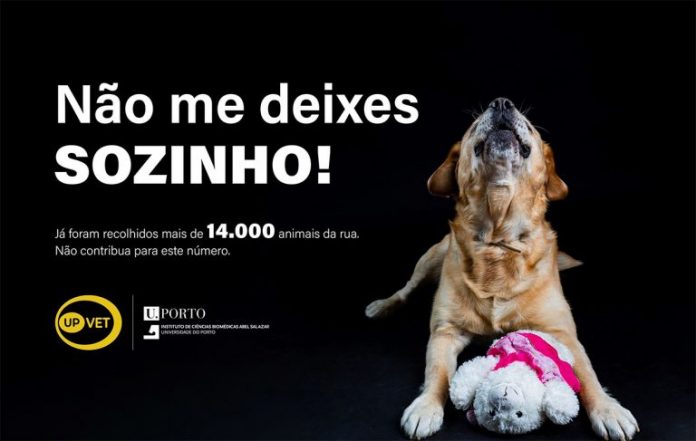 campanha_abandono_animais_upvet_cartaz