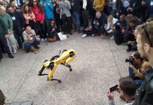 Web Summit 2019. O cão robô da Boston Dynamics