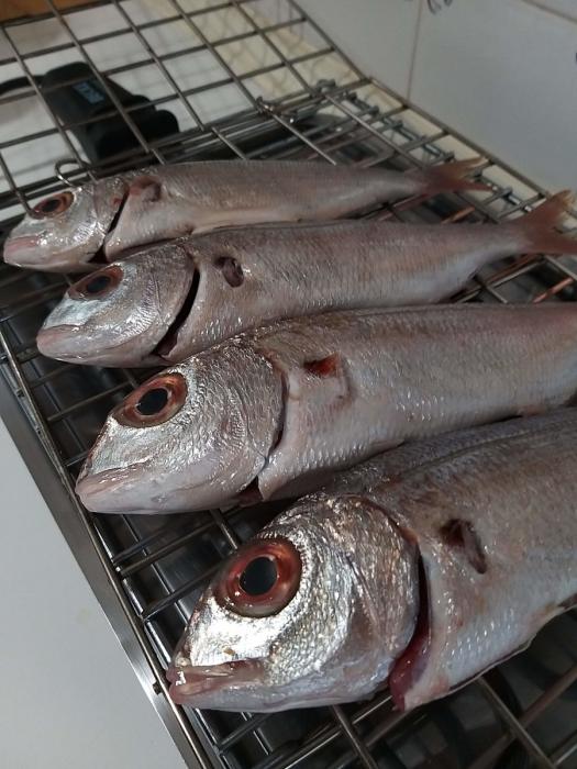 Virá o mar à nossa porta, se não podemos sair! | Global News Portugal