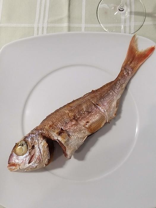 Virá o mar à nossa porta, se não podemos sair! | Global News Portugal