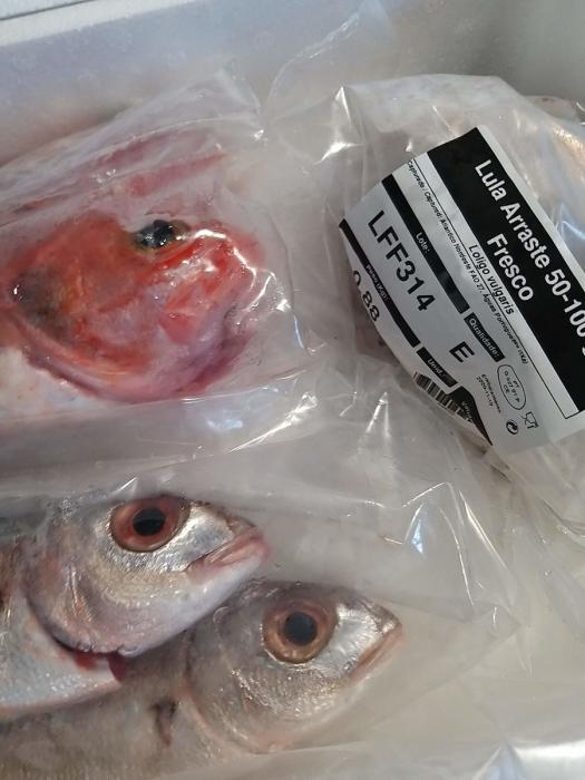 Virá o mar à nossa porta, se não podemos sair! | Global News Portugal