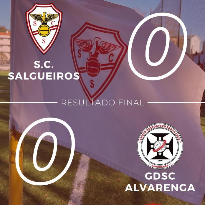 salgueiros alvarenga