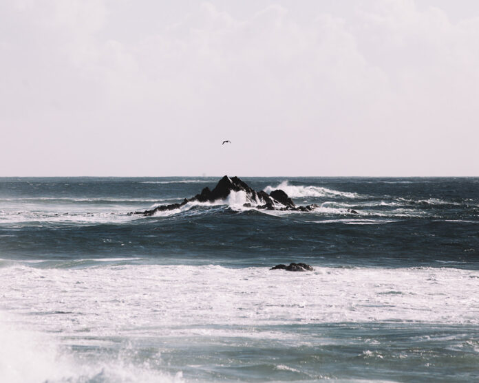 laboratório de verão