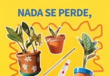 “Nada se desperdiça, tudo se replanta”: GaiaShopping oferece plantas