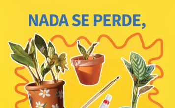 “Nada se desperdiça, tudo se replanta”: GaiaShopping oferece plantas