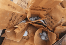 Este fim de semana há oferta de castanhas assadas em Gaia