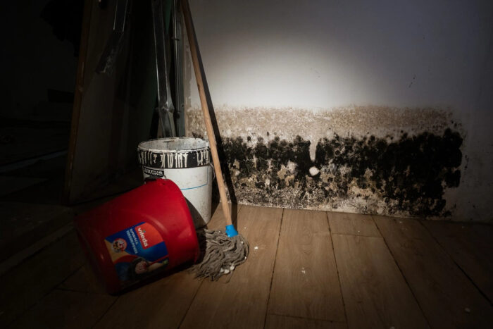 Câmara do Porto encerra cave que albergava 20 pessoas. "Não vamos tolerar estas circunstâncias" | Global News Portugal