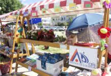 Cidade da Maia celebra regresso da Festa da Primavera a 17 de maio