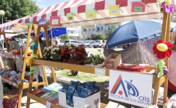Cidade da Maia celebra regresso da Festa da Primavera a 17 de maio