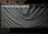 BASQUEIRAL 2026: O TRIUNFO DA GRANDE CAUDA AMARELA