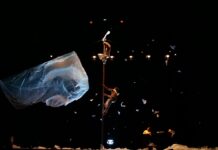 Corpo Nómada: o espetáculo que une circo, música barroca, jazz e vídeo estreia-se no Porto esta quarta-feira