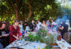 BOIL – Climate Fest regressa a Serralves
